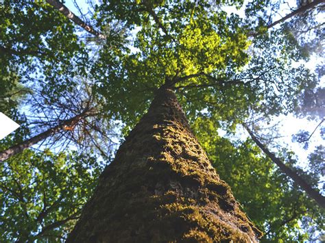 yoijaks|Jayakas – Eco.